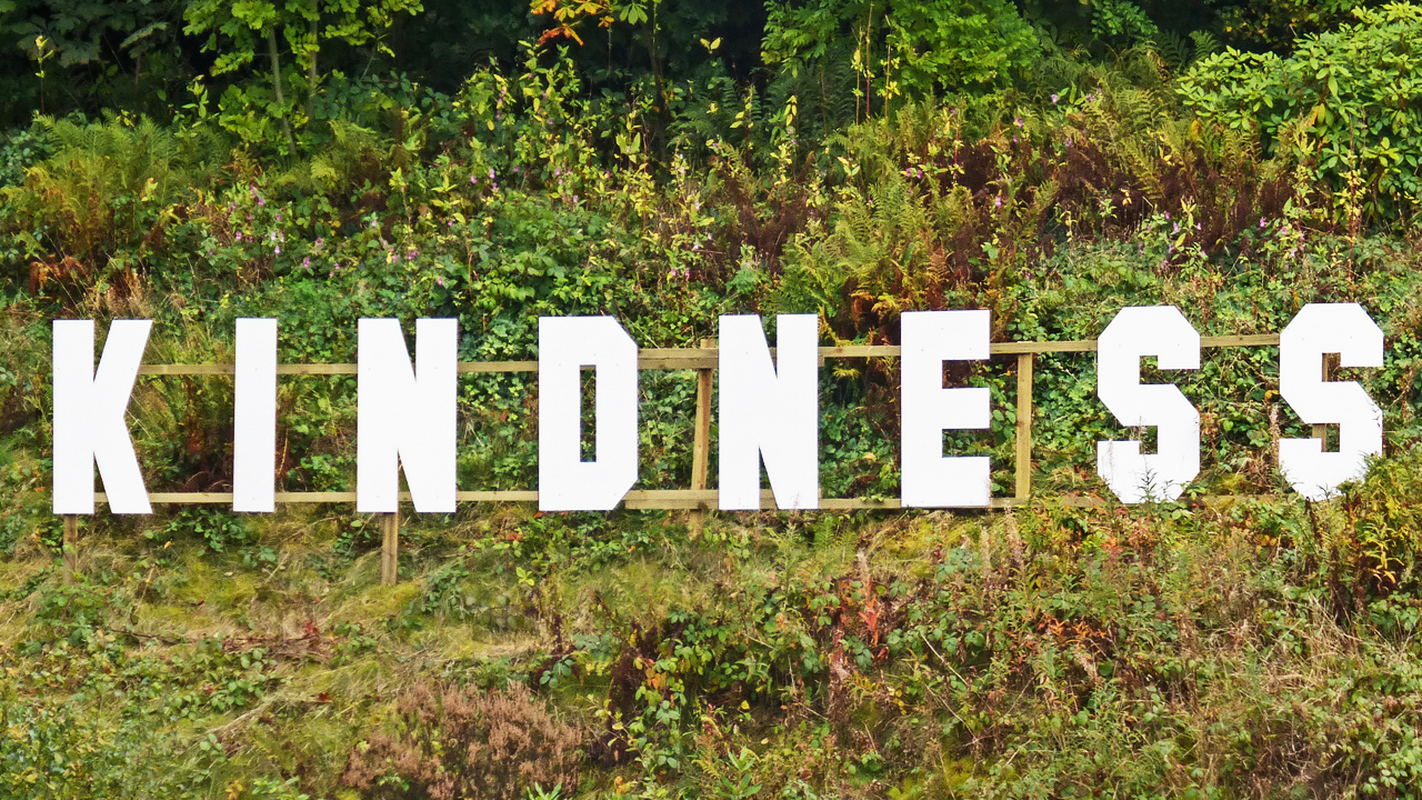 Three Strategies for Bringing More Kindness into Your Life