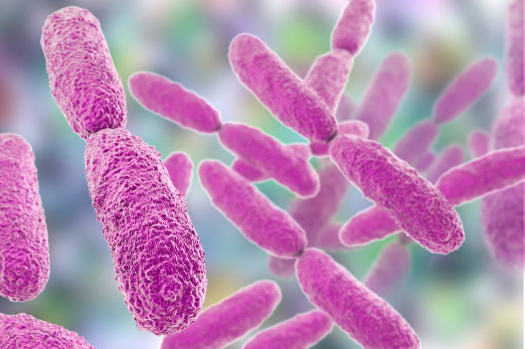 Worse than MRSA Doctors Call for Urgent Action on Superbug Threat