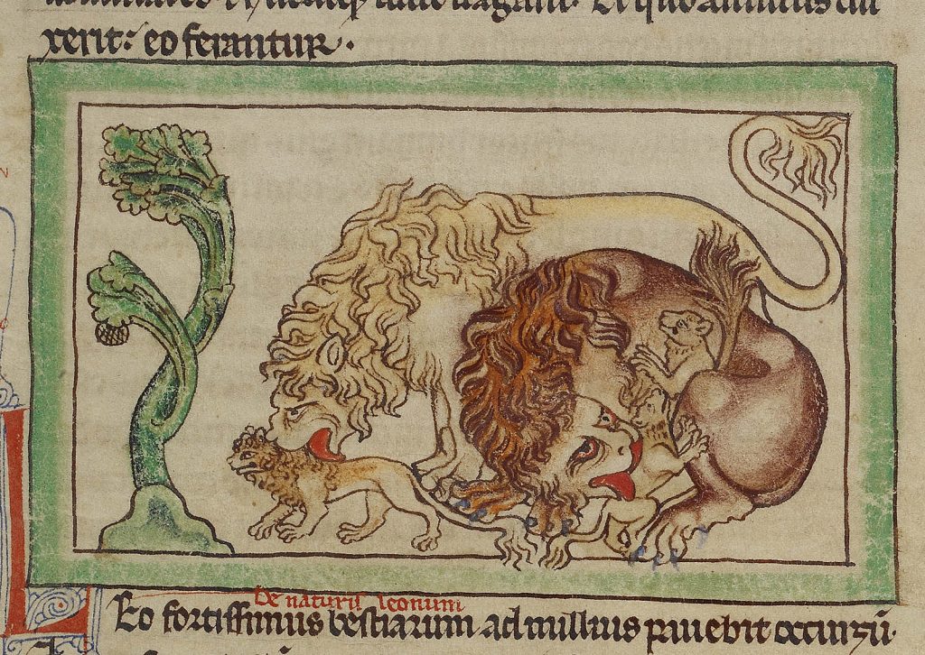 The Laudable Lion of the Medieval Mind