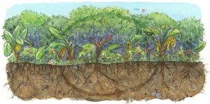 The Farm that Grows Climate Solutions 104 Climate01