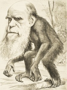 Darwin02