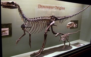 Dinosaur01