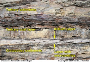 Cretaceous-Tertiary Boundary Layer