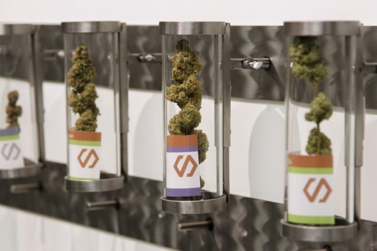 File photo of cannabis buds are shown on first day of legal recreational marijuana sales beginning at midnight in Portland, Oregon