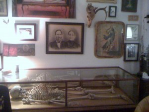Morbid Anatomy Museum. Photo: thera T / Flickr [CC]