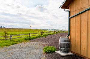 Why it Makes Little Sense to Regulate Rainwater Barrels in the Dry Western U.S. 111 Rain01
