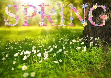 Spring01