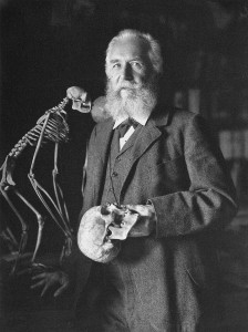 Ernst Haeckel and the Unity of Culture - Monism 49 Haeckel02