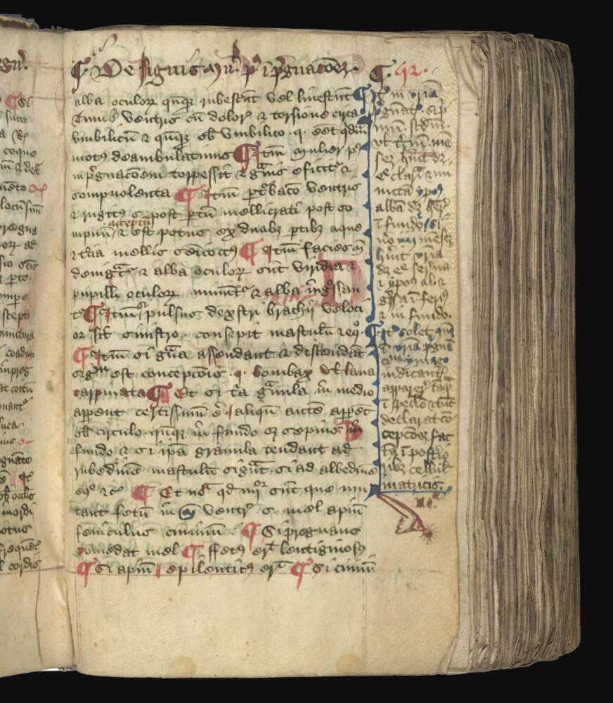 Hands, Holes, and Hashtags: MS. 550 Brewminate: A Bold Blend of News ...