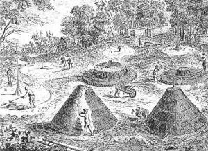 The Role of Wood in World History 20 Wood05