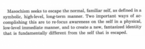 Social Media as Masochism 24 Masochism03