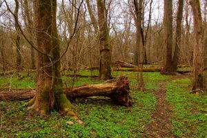 Finding Solitude in an Era of Perpetual Contact 16 Solitude02