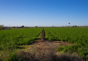 Tribes Create Their Own Food Laws to Stop USDA From Killing Native Food Economies 18 Tribes02