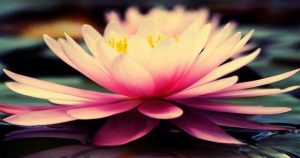 How to Release Anger through Mindfulness 44 Anger09