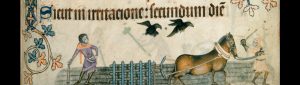 Peasants in the Middle Ages and Their Role in Rural Life 2 Peasants01