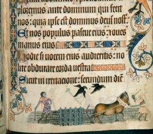 Peasants in the Middle Ages and Their Role in Rural Life 7 Peasants05