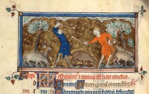 Peasants in the Middle Ages and Their Role in Rural Life 15 Peasants14