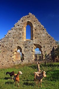 Who Built This Wall? 20 The Frankish monastery of Isova, at Trypiti village (Andritsaina-Krestena Municipality), Ileia, Peloponnese, Greece.