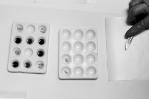 Busted: False Positive Roadside Drug Tests Landing Thousands in Jail 50 DSC08857.ARW