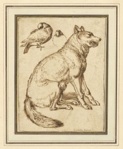 A Wolf and Two Doves