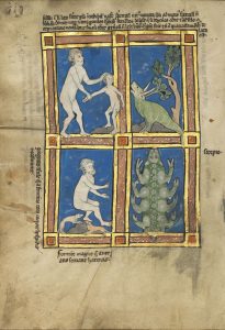 11 Haiku to Teach Kids about Art 33 Praesillus; A Hairy Woman of the Island of Gorgade; A Scorpion