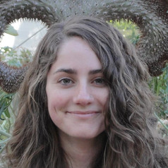 Parasitic Flies, Zombified Ants, Predator Beetles - Insect Drama on Mexican Coffee Plantations 19 Mathis01