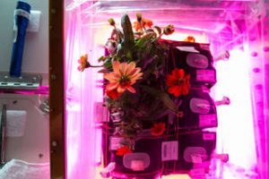 Every Day Closer to a New Way to Orbit 17 ccp03