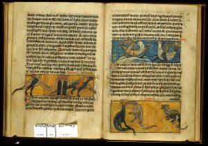 Medieval Monsters 8 medievalmonsters20