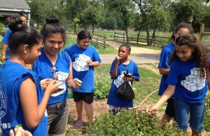 What I Learned from Cobbling Together My Own Community School 204 communityschool01