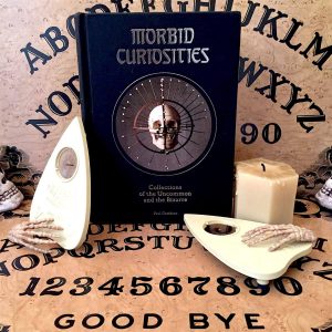 Morbid Curiosities - A Dark and Delightful Glimpse into 18 Macabre Collections 12 morbidcuriosities02