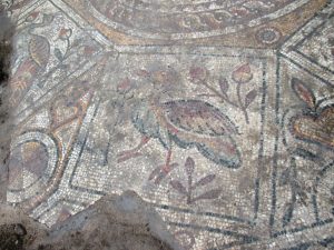Late Antique 'Peacock' Mosaic Discovered in Early Christian Basilica 35 peacock08