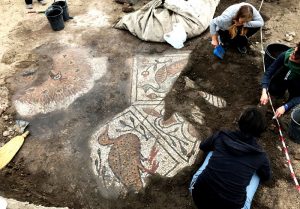 Late Antique 'Peacock' Mosaic Discovered in Early Christian Basilica 37 peacock10