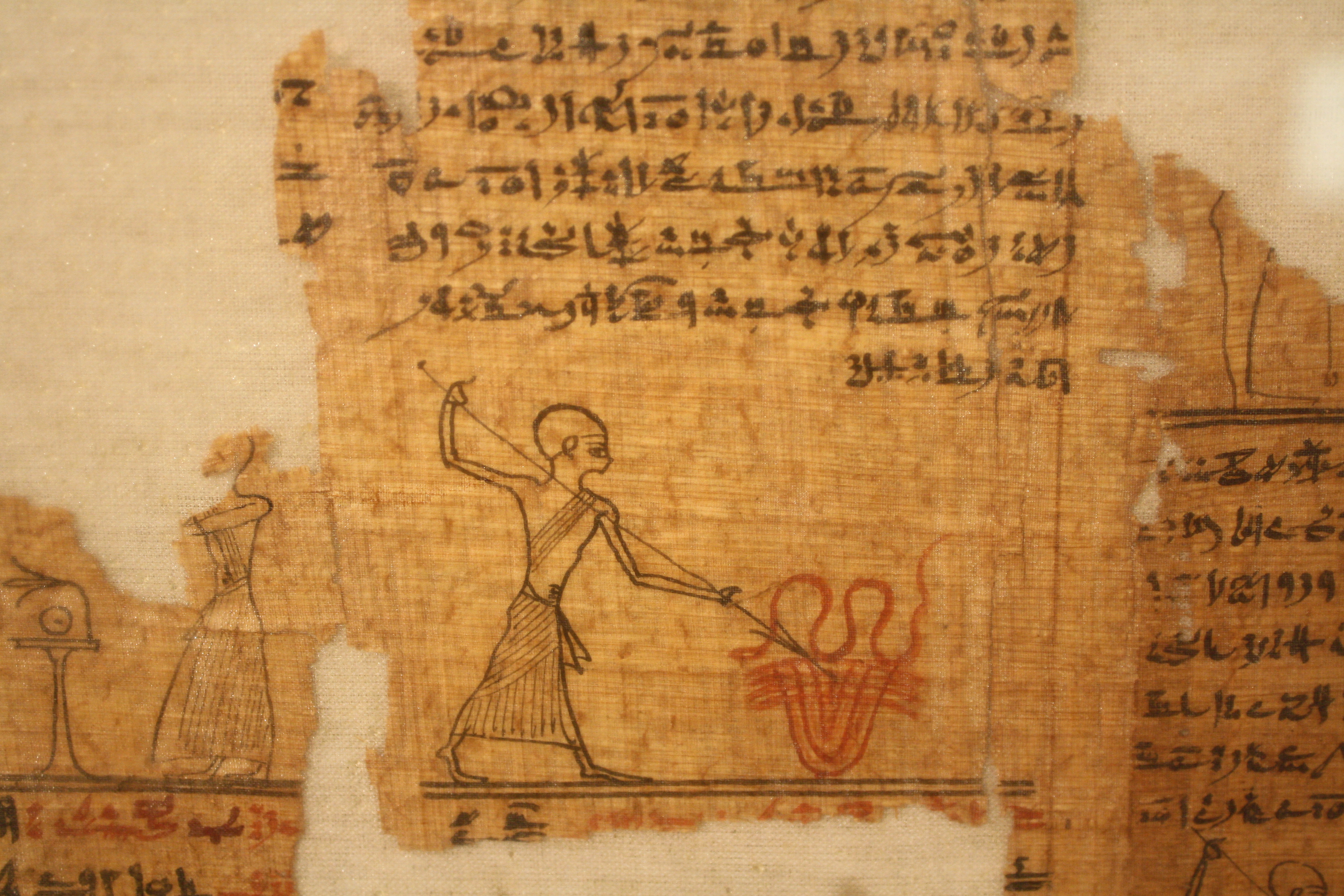papyrus author