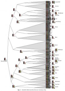 Red, Yellow, Pink, and Green: How the World's Languages Name the Rainbow 23 rainbow04