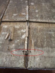 50 Years after the Flood, a Renaissance Painting Restored 38 vasari08