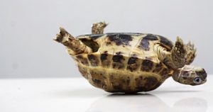 8 Things Not to Say to Someone Struggling With Anxiety 37 anxiety08