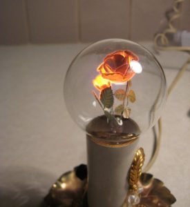 bulbs01