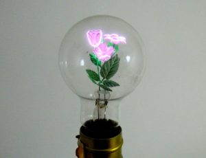 bulbs05