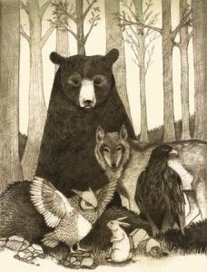 Cherokee Stories 135 Cherokee Stories