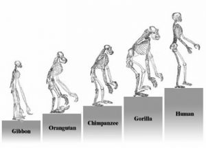 Classical Drama and Society: Writing and the Stage in the Graeco-Roman World 414 Classical Drama and Society: Writing and the Stage in the Graeco-Roman World