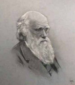 Classical Drama and Society: Writing and the Stage in the Graeco-Roman World 415 Classical Drama and Society: Writing and the Stage in the Graeco-Roman World