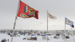 dapl06