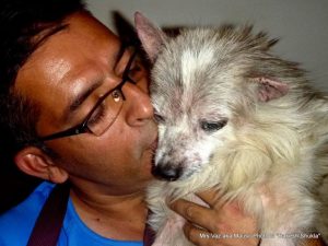 The Dog Father – Indian Man Takes Care of 735 Dogs That Nobody Else Wants 20 The Dog Father – Indian Man Takes Care of 735 Dogs That Nobody Else Wants