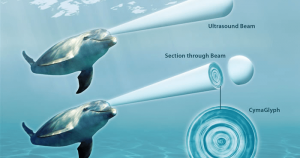 Science Shows Dolphins Communicate Holographically 26 Science Shows Dolphins Communicate Holographically