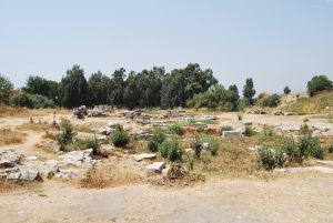 The Temple of Artemis at Ephesus 32 The Temple of Artemis at Ephesus