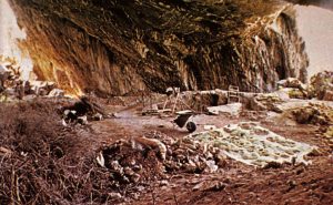The Southern Greek Palaeolithic, Mesolithic, and Neolithic Sequence at Franchthi Cave 4 Cave