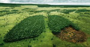 How Not to Freak Out 43 How Not to Freak Out