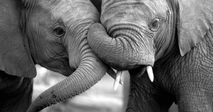 How Not to Freak Out 51 How Not to Freak Out