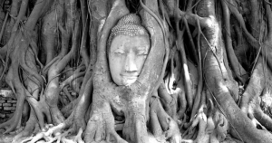 How Not to Freak Out 55 How Not to Freak Out