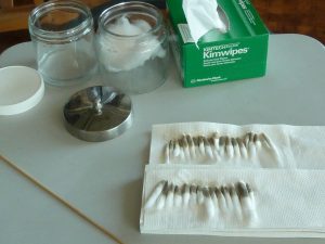 Cleaning Guercino’s 'Jacob Blessing the Sons of Joseph' 31 Cleaning Guercino’s 'Jacob Blessing the Sons of Joseph'